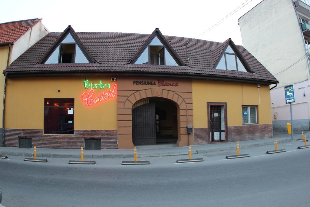 Pensiunea Blanca Reghin Exterior foto