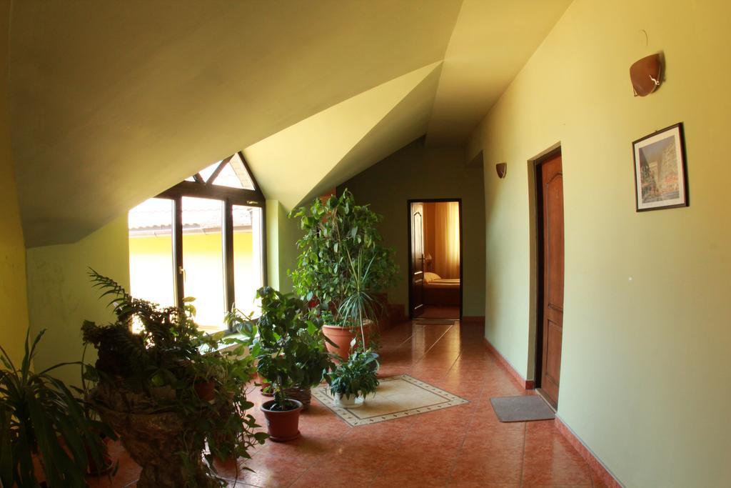 Pensiunea Blanca Reghin Exterior foto